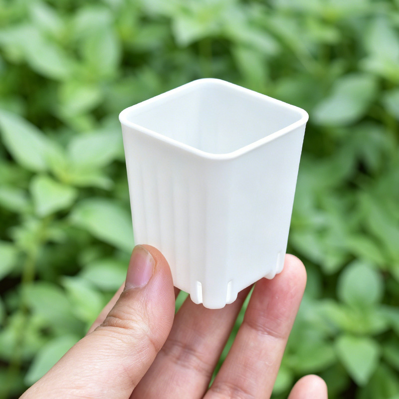 50-100 個 4 センチメートルミニ厚みのある白/透明な - 3D Printing Pot のレビューと価格