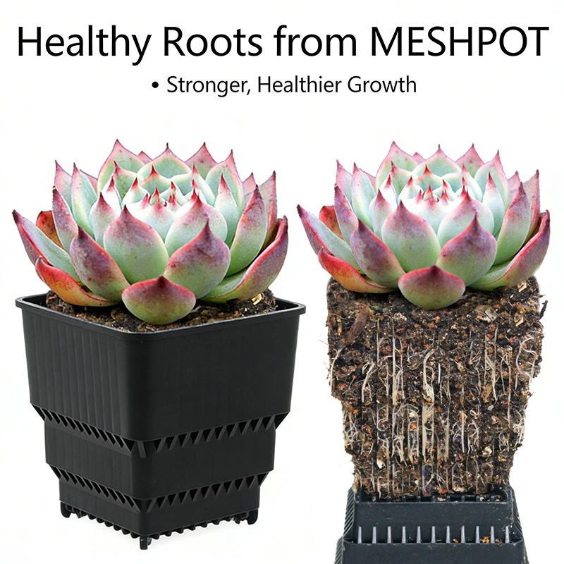 多肉植物やサボテン用の MESHPOT 6 パック スクエア - 3D Printing Pot のレビューと価格